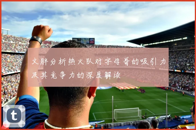 文胖分析热火队对字母哥的吸引力及其竞争力的深度解读